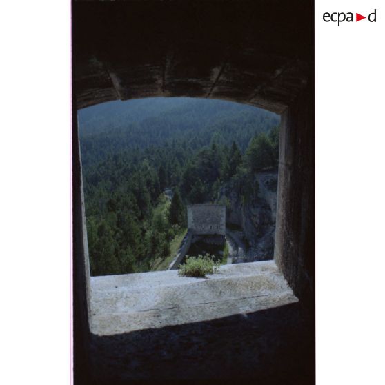 Défenses d'un des accès au fort. [légende d'origine]