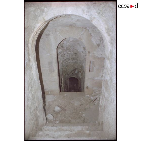 Escalier dans le donjon. [légende d'origine]