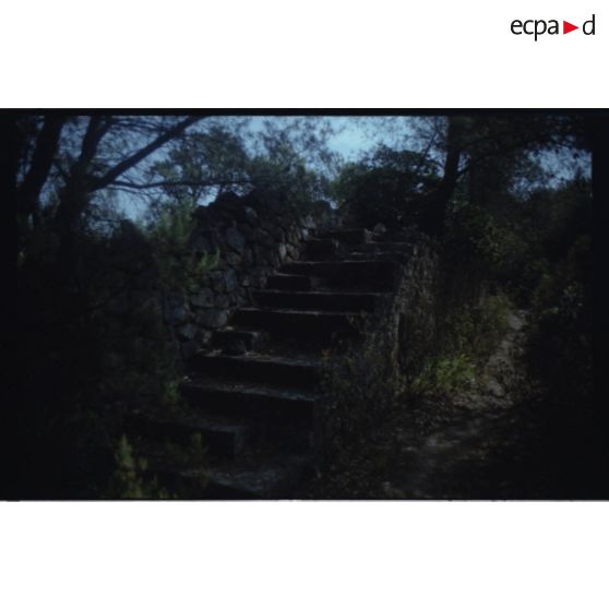 Fort de la Bayarde. [légende d'origine]