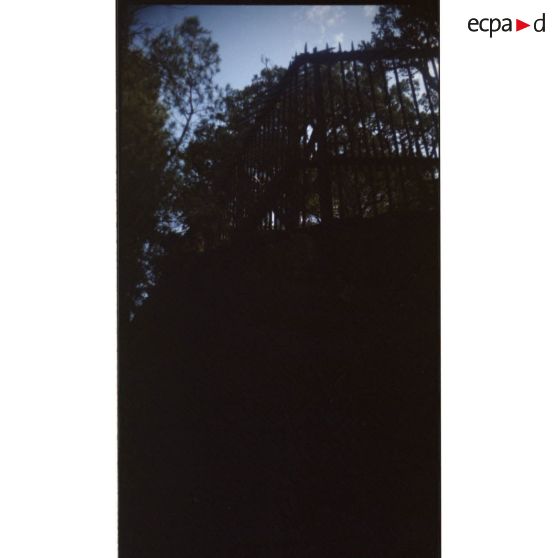 [Le fort de la Bayarde, à Carqueiranne, caché derrière des arbres].