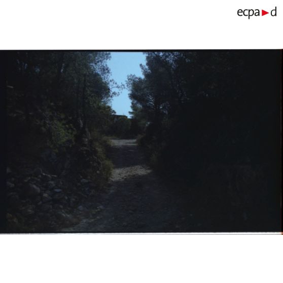 Fort de la Bayarde. Arrivée de la piste sur la crête. [légende d'origine]