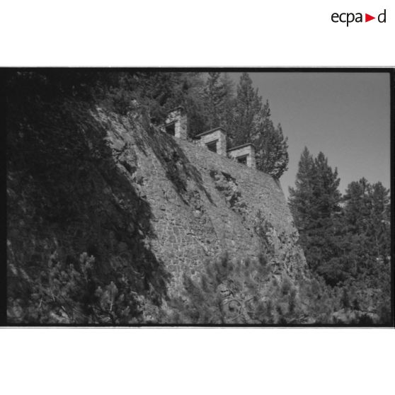 Fort de la Croix de Bretagne. Escarpe sud et parados - 1992. [légende d'origine]