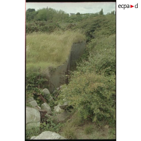 Fort de l'Eve. Certains blockhaus sont noyés dans la verdure ! [légende d'origine]