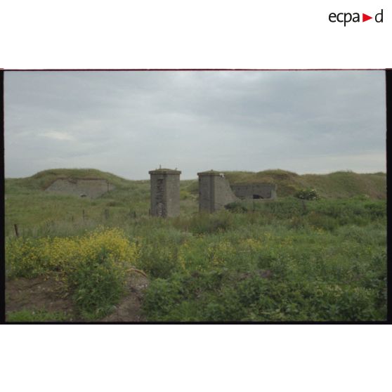 Vue générale depuis l'entrée. [légende d'origine]