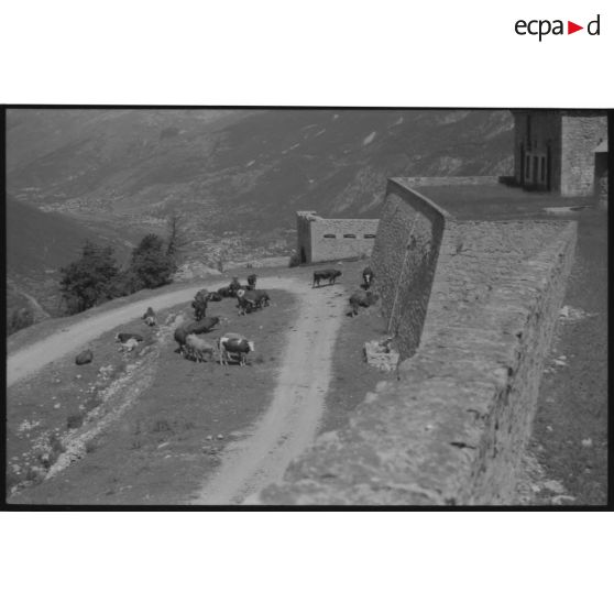 Fort de la Croix de Bretagne. Esplanade devant l'entrée du fort et la piste vers la Grande Maye - 1992. [légende d'origine]