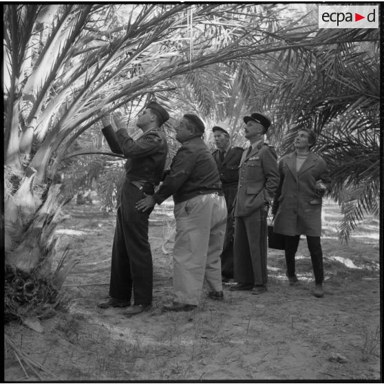 Le voyage du capitaine Rouy.