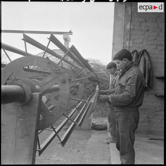 M'Sila. Usine Socoman.