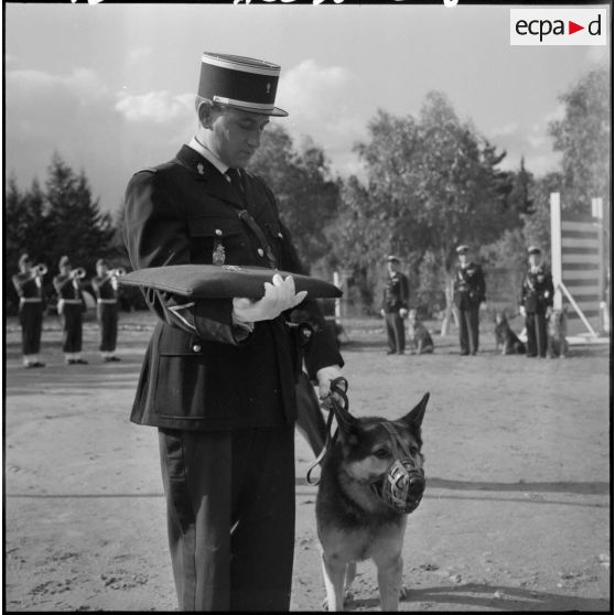 Camp de Beni Messous. Remise de la médaille de la Gendarmerie au chien Gamin
