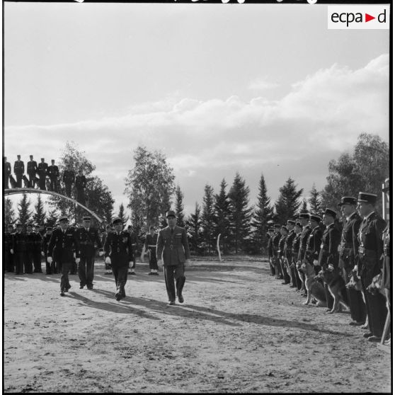 Camp de Beni Messous. Remise de la médaille de la Gendarmerie au chien Gamin