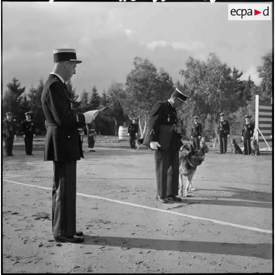 Camp de Beni Messous. Remise de la médaille de la Gendarmerie au chien Gamin