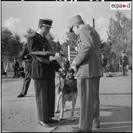 Camp de Beni Messous. Remise de la médaille de la Gendarmerie au chien Gamin