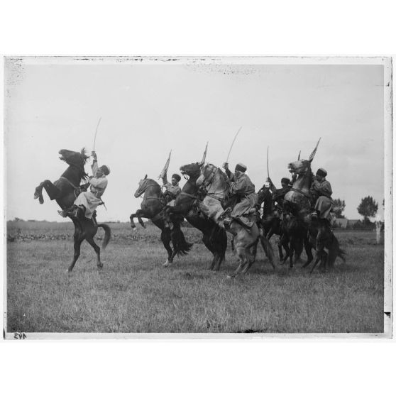 [Spahis et chevaux cabrés.]