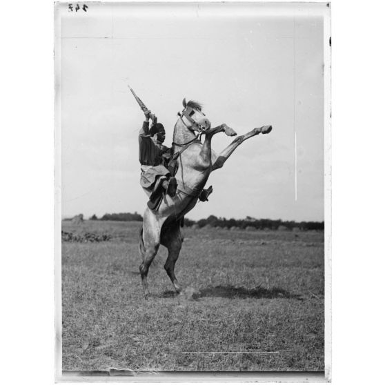 [Spahis et cheval cabré.]