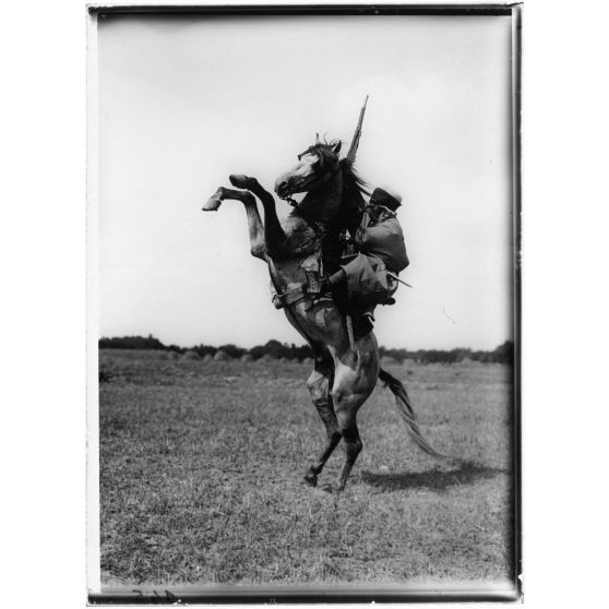 Un beau "Cabrer". Spahis. Oise, 1916. [légende d'origine]