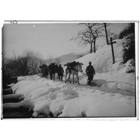 Colonne muletière transportant du matériel de tranchées à l'Hartmann. Alsace, 1917. [légende d'origine]
