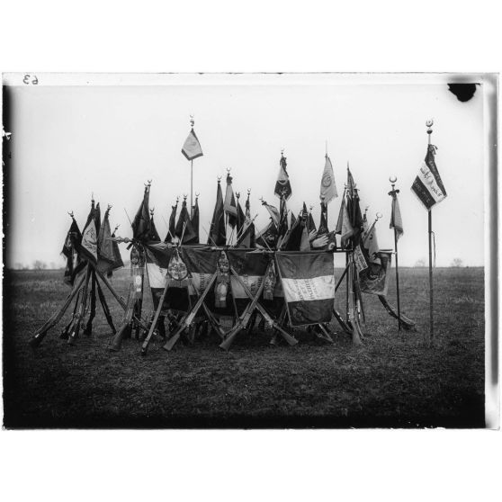 [Drapeaux de la Division Marocaine, décembre 1917.]