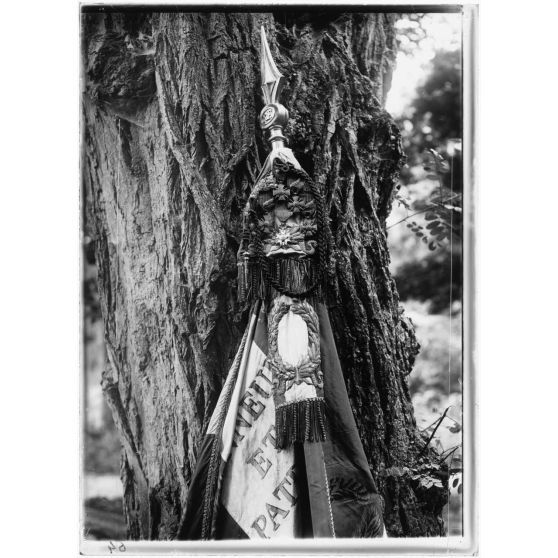 [Drapeau français avec l'inscription "Honneur et Patrie" et les insignes croix de guerre et branches d'olivier.]