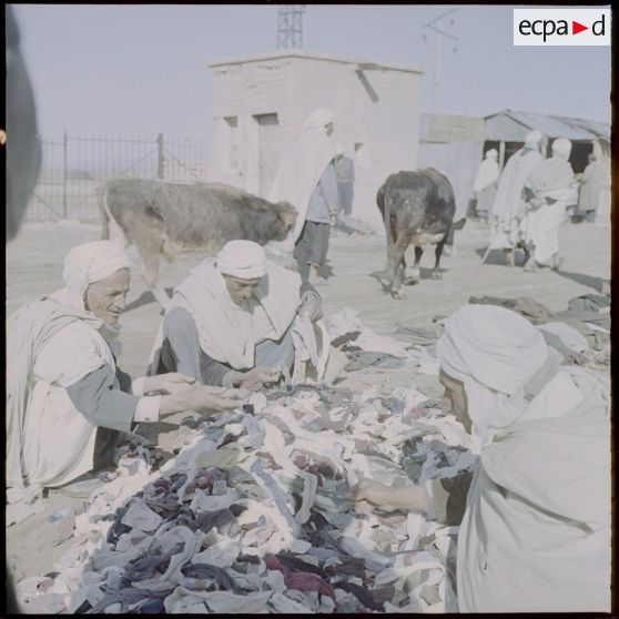 M'Sila. Souks hebdomadaires. Des hommes regardent des tissus.