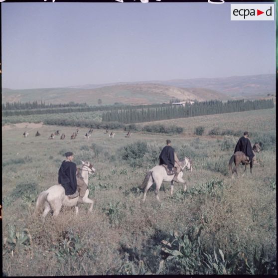 La section avance et progresse dans la vallée du Cheliff et traverse l'oued Cheliff.