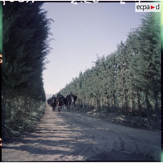 La section avance et progresse dans la vallée du Cheliff et traverse l'oued Cheliff.
