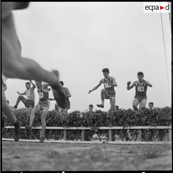 Alger. Hippodrome de Caroubier. Championnat d'Afrique du Nord (AFN) de cross-country. Course.