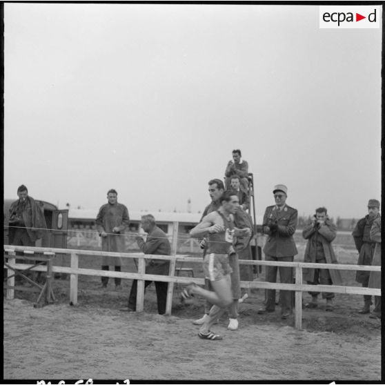 Alger. Hippodrome de Caroubier. Championnat d'Afrique du Nord (AFN) de cross-country. Course.
