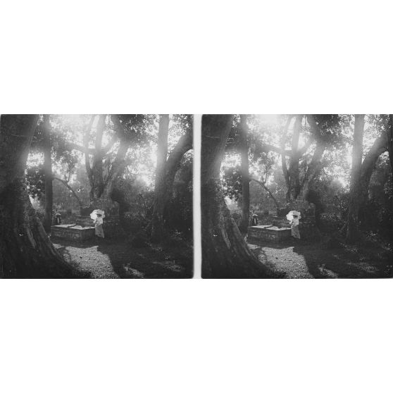 959. Can-Do (Environs d'Hanoï). Autel. [légende d'origine]