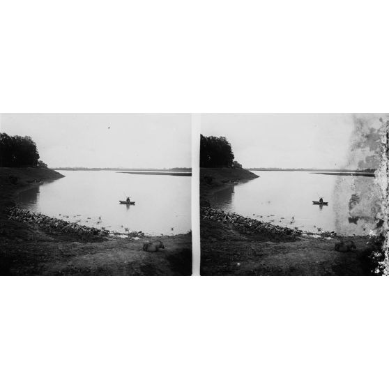 1379. Nha-qué faisant paître un troupeau de canards. [légende d'origine]