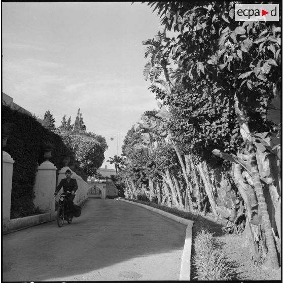 Alger. Hôpital Maillot.