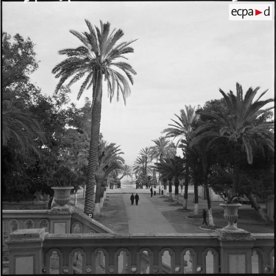 Alger. Hôpital Maillot. Jardin.