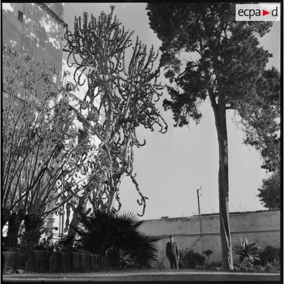 Alger. Hôpital Maillot. Jardin.