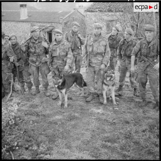 Kouriet. Un groupe est prêt à partir avec 2 chiens de pelotons cynophile.