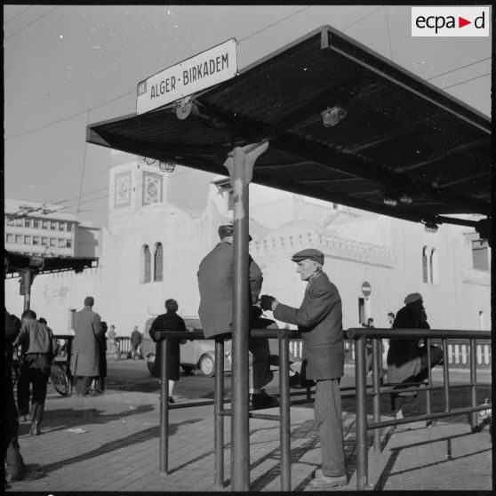 Alger. Quartier européen. Deux hommes discutent à une station de bus.