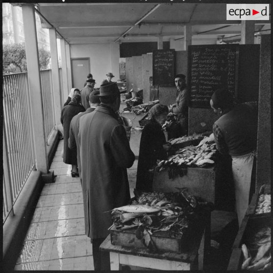 Alger. Quartier européen. Marché.