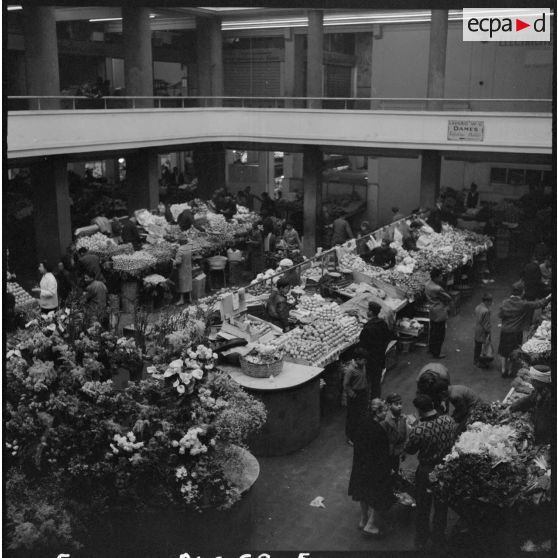 Alger. Quartier européen. Marché.