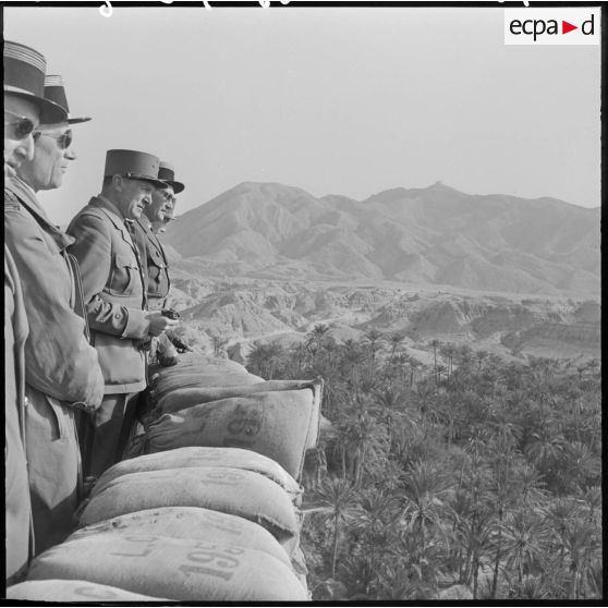 Inspection du général Allard dans l'est constantinois. Palmeraie.