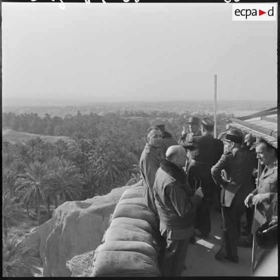 Inspection du général Allard dans l'est constantinois. Palmeraie.