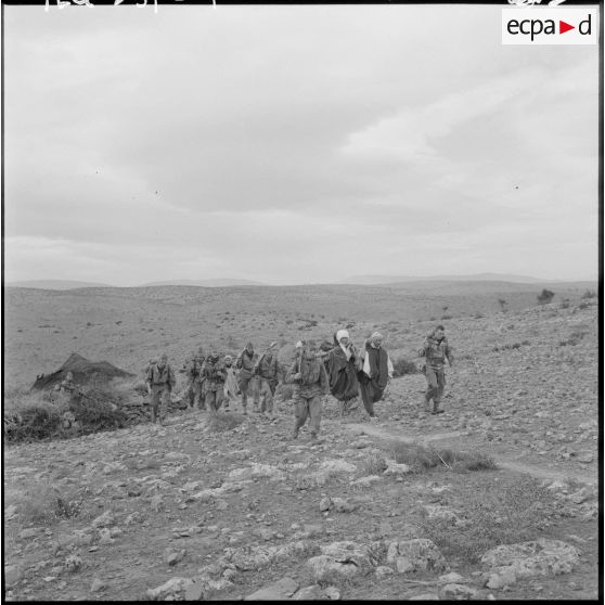 Massif de Bou-Hamrah. Opération "Couronne". Arrivée d'une section portant le prisonnier commissaire politique blessé.