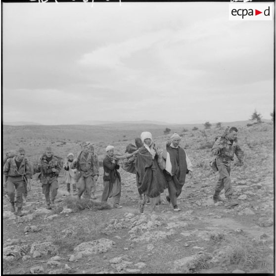 Massif de Bou-Hamrah. Opération "Couronne". Arrivée d'une section portant le prisonnier commissaire politique blessé.