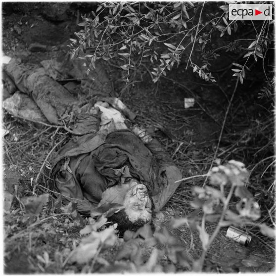 Opération K21. Des cadavres.