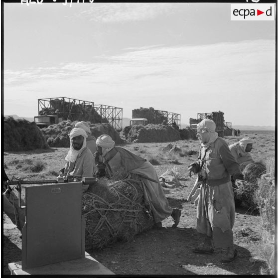 La Fontaine. Les nomades pèsent l'alfa.