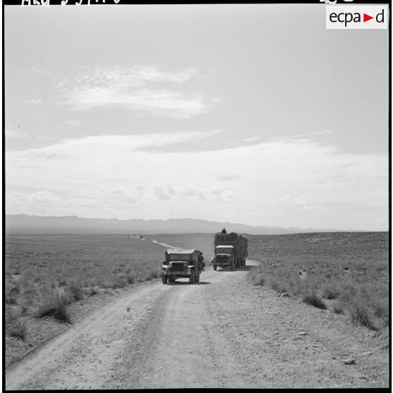 La Fontaine. Les camions Willème 25 T chargés d'alfa en route vers de vastes alfatières.