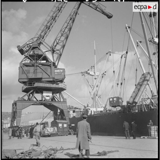Port d'Alger. Une grue déplaçant un container de livres scolaires.