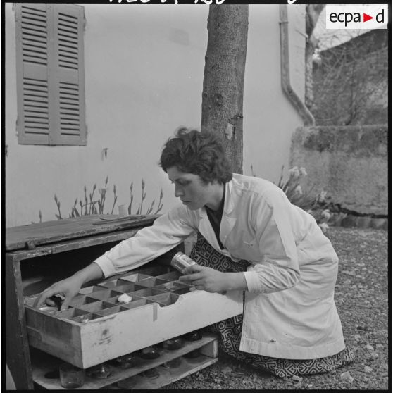 Miliana. Préparation de la mission, les assistantes complètent leurs caisses de produits pharmaceutiques.