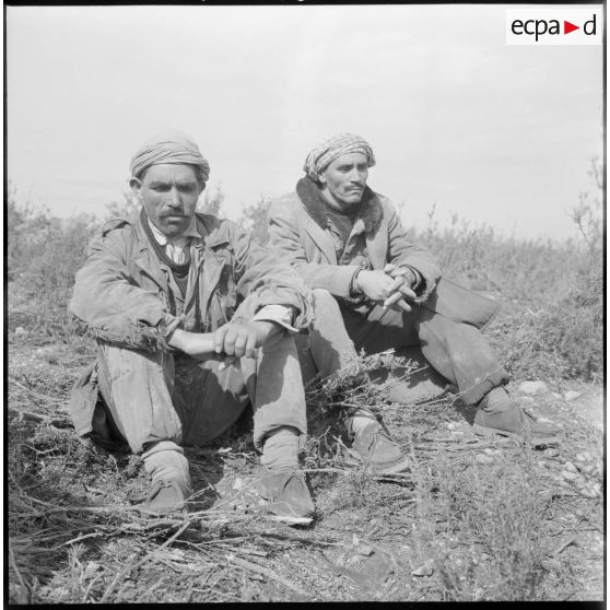 Région de Frenda. Prisonniers rebelles