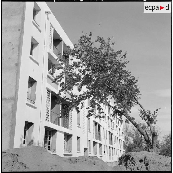 Orléansville. Dans la périphérie des immeubles éclatants de blancheur.