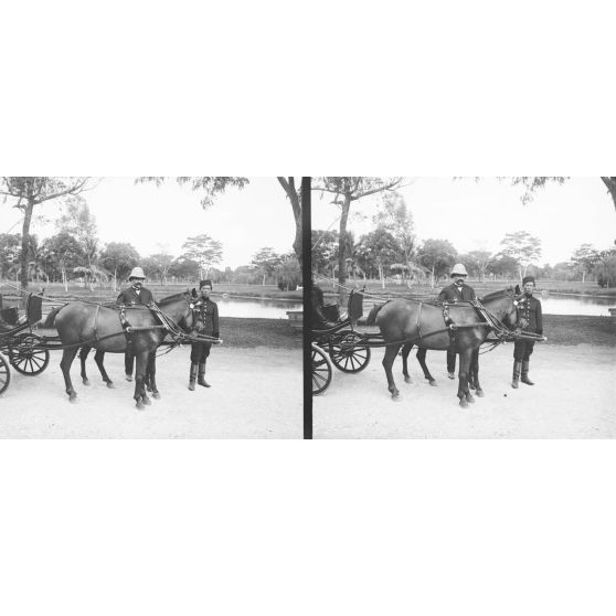 958. Chevaux annamites. Saïs. [légende d'origine]