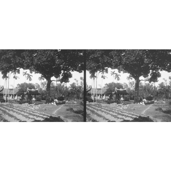 964. Pagode de village. [légende d'origine]