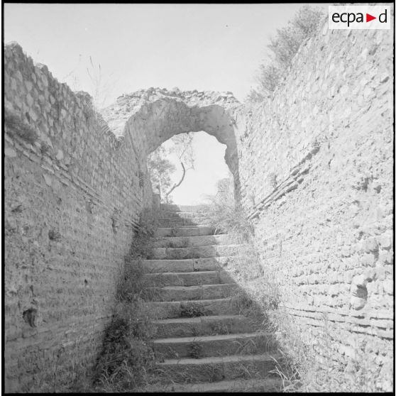 Tipasa. Dessous des voutes.