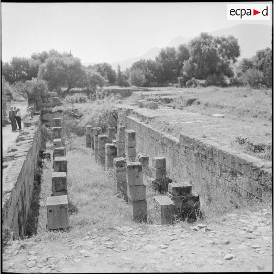 Tipasa. Les piliers de soutien.